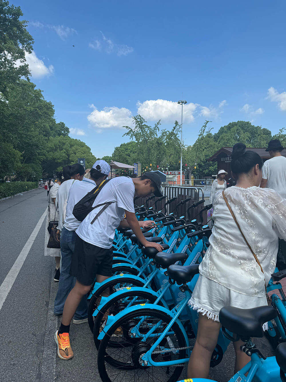 250輛氫能自行車(chē)投身南京鐘山風(fēng)景區